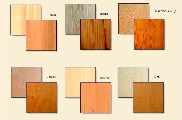 Текстура разных пород древесины