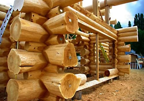 фото: из какого дерева строить баню
