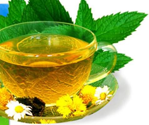 Употребление зеленого чая благотворно влияет на организм человека после банных процедур
